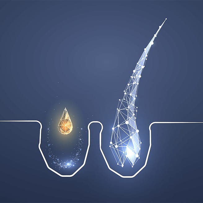 DNA Activator-anchor