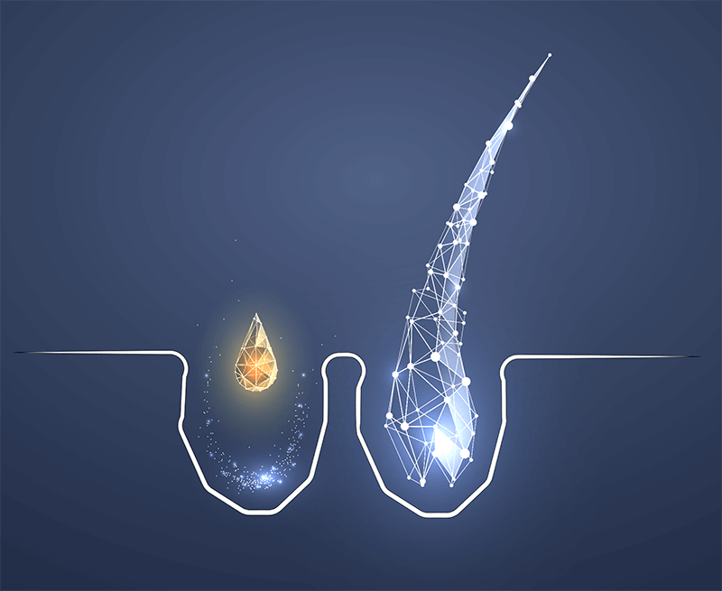 DNA Activator-anchor