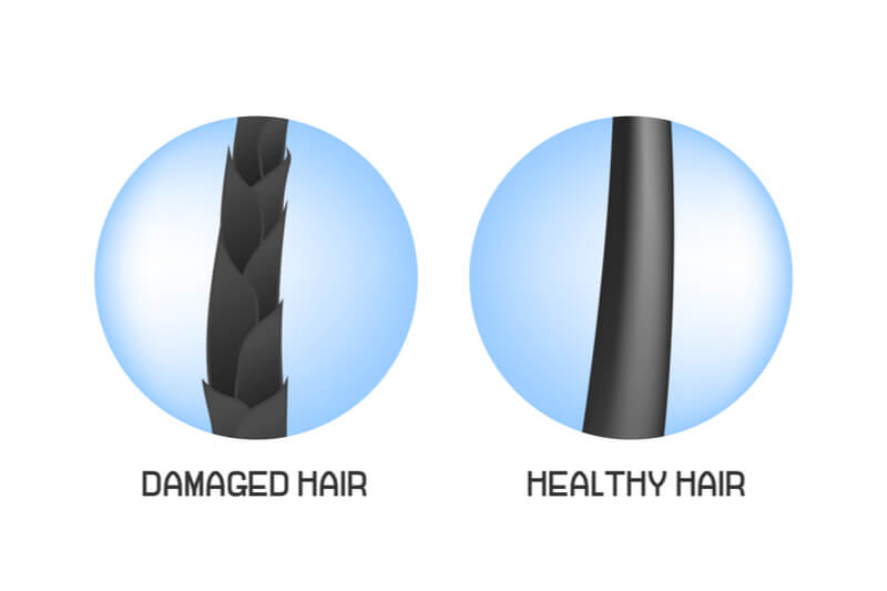 damaged dry hair vs healthy hair
