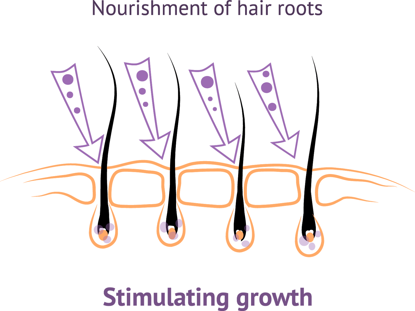stimulate-hair-follicles
