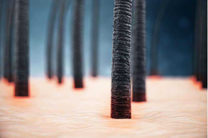 hair keratin close up