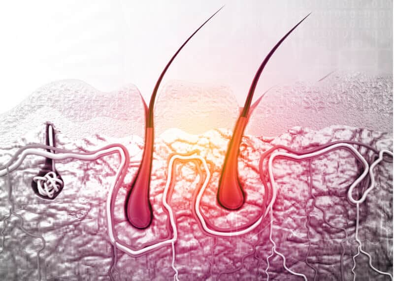 thinning treatment stimulating hair follicle diagram